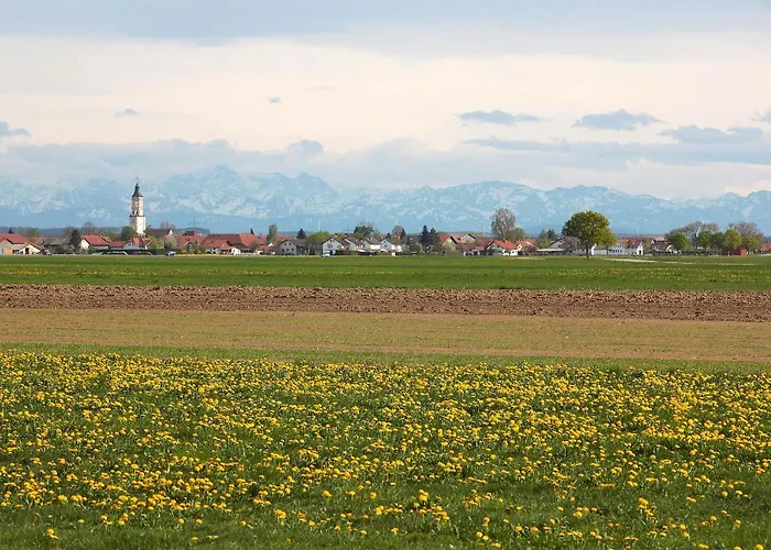 酒店 斯特克奈普温泉酒店 巴特沃里斯霍芬