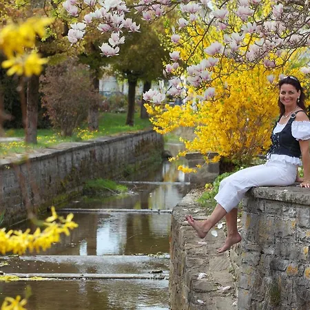 Kneipp-kurhotel Steinle