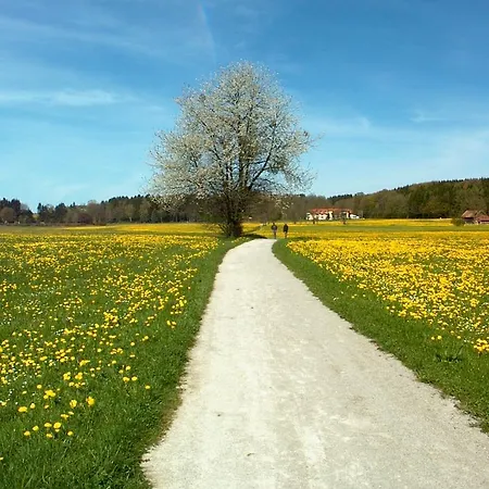 Hotel Kneipp-kurhotel Steinle