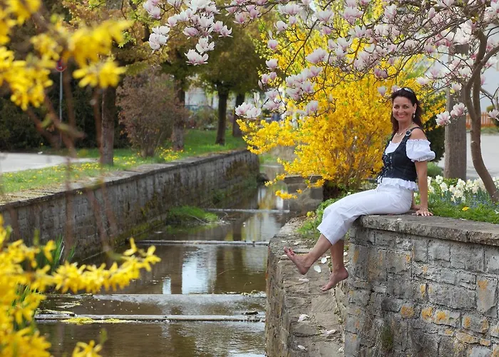 Kneipp-kurhotel Steinle