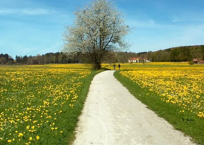 Hotel Kneipp-kurhotel Steinle