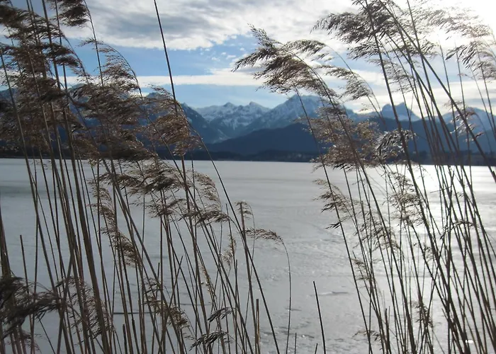 Отель Kneipp-kurhotel Steinle